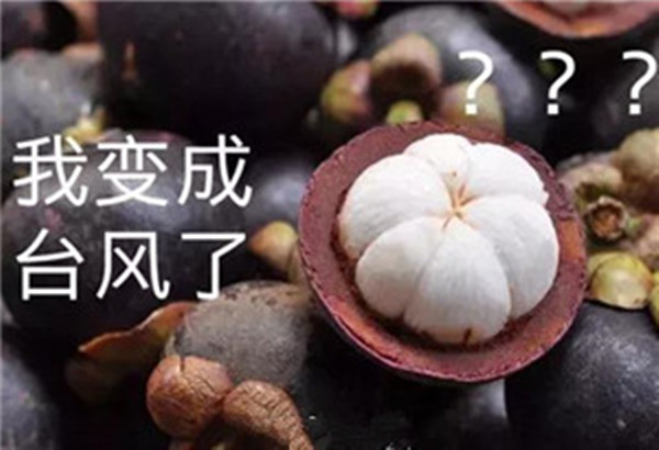 “山竹”還未走遠，但貝朗全自動彎線機已正常上班啦！