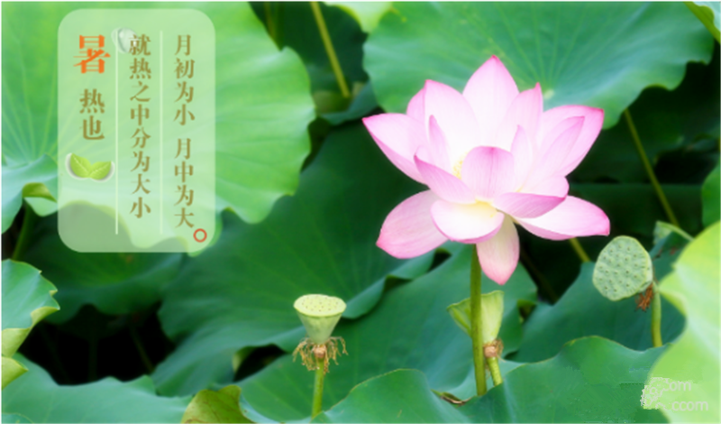暑臻三伏醉難熬，拭汗揮巾似雨飄——鐵絲成型機