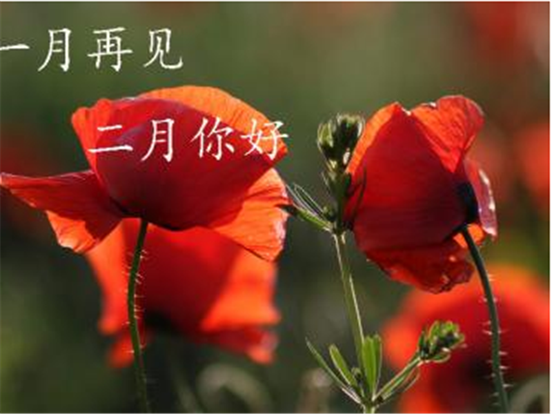 一月再見，美好的二月你好啊