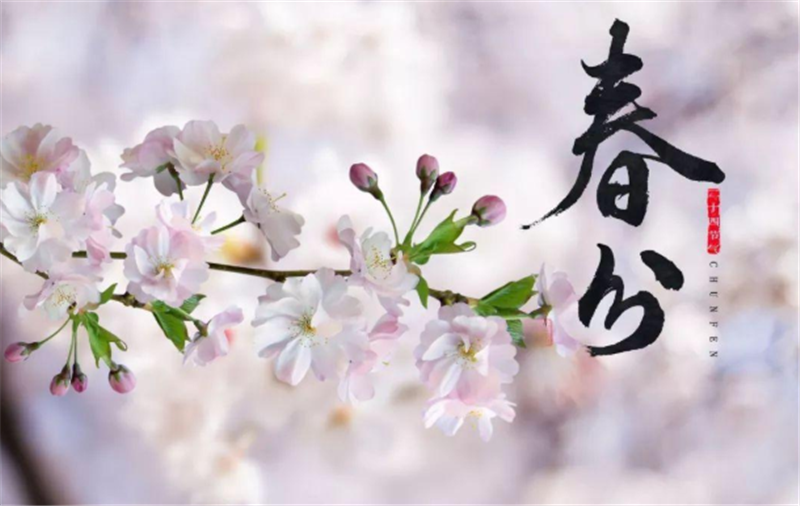 二十四節氣——春分有哪些習俗？